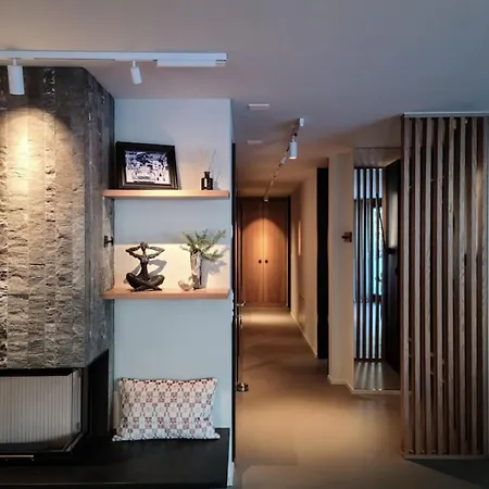 Modern Alpine Retreat Garden And Panoramic Views Appartement Flims