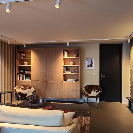 Modern Alpine Retreat Garden And Panoramic Views Flims